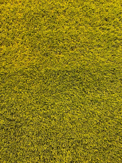 Eco-Friendly Landscaping Solutions